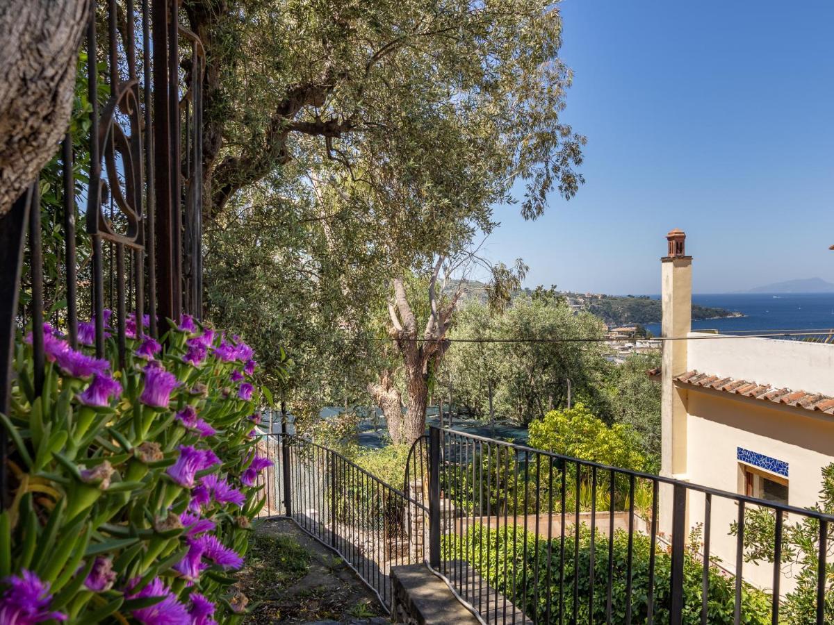 Ulivi Apt Villa Sorrento Exterior photo