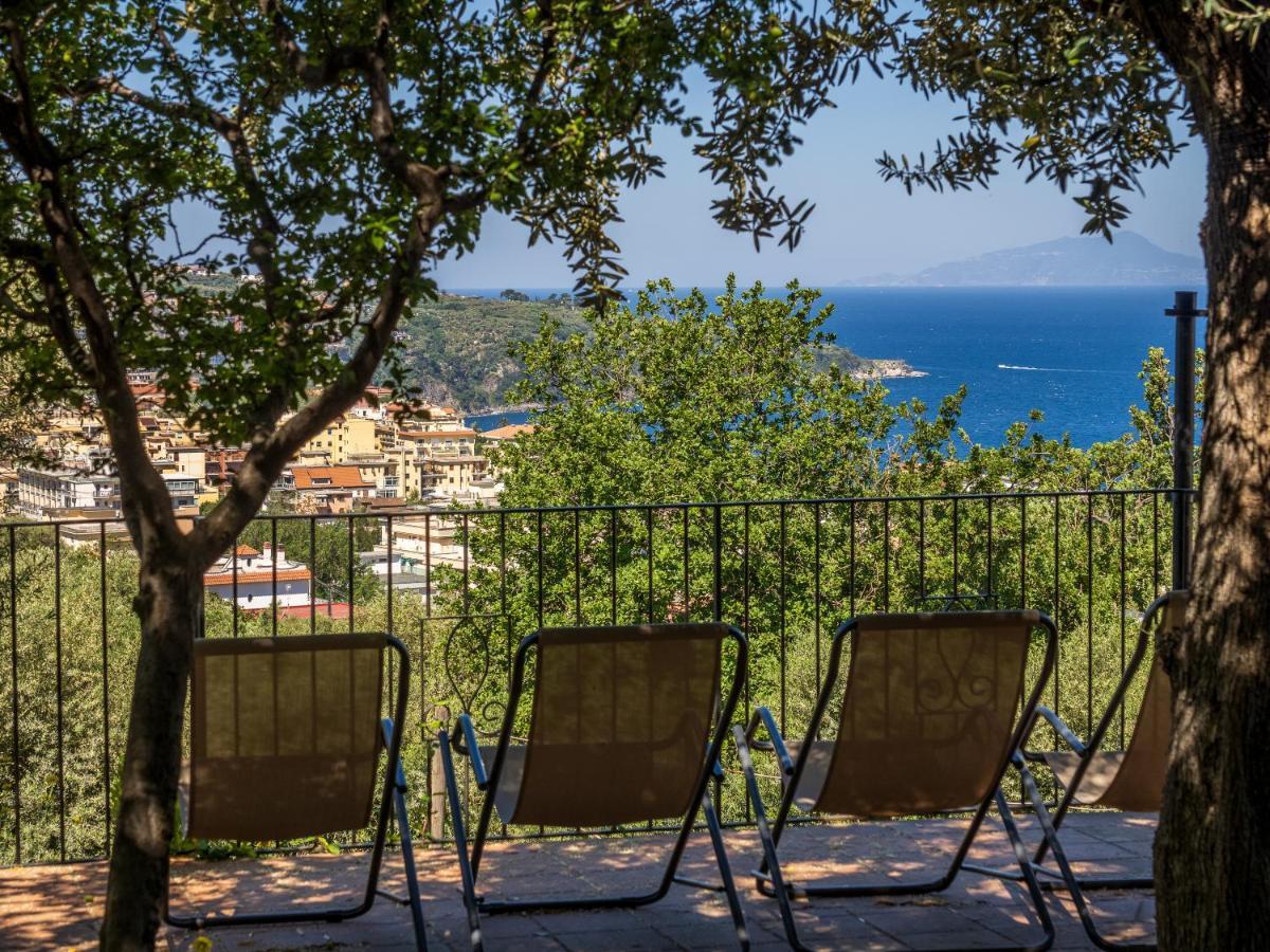Ulivi Apt Villa Sorrento Exterior photo