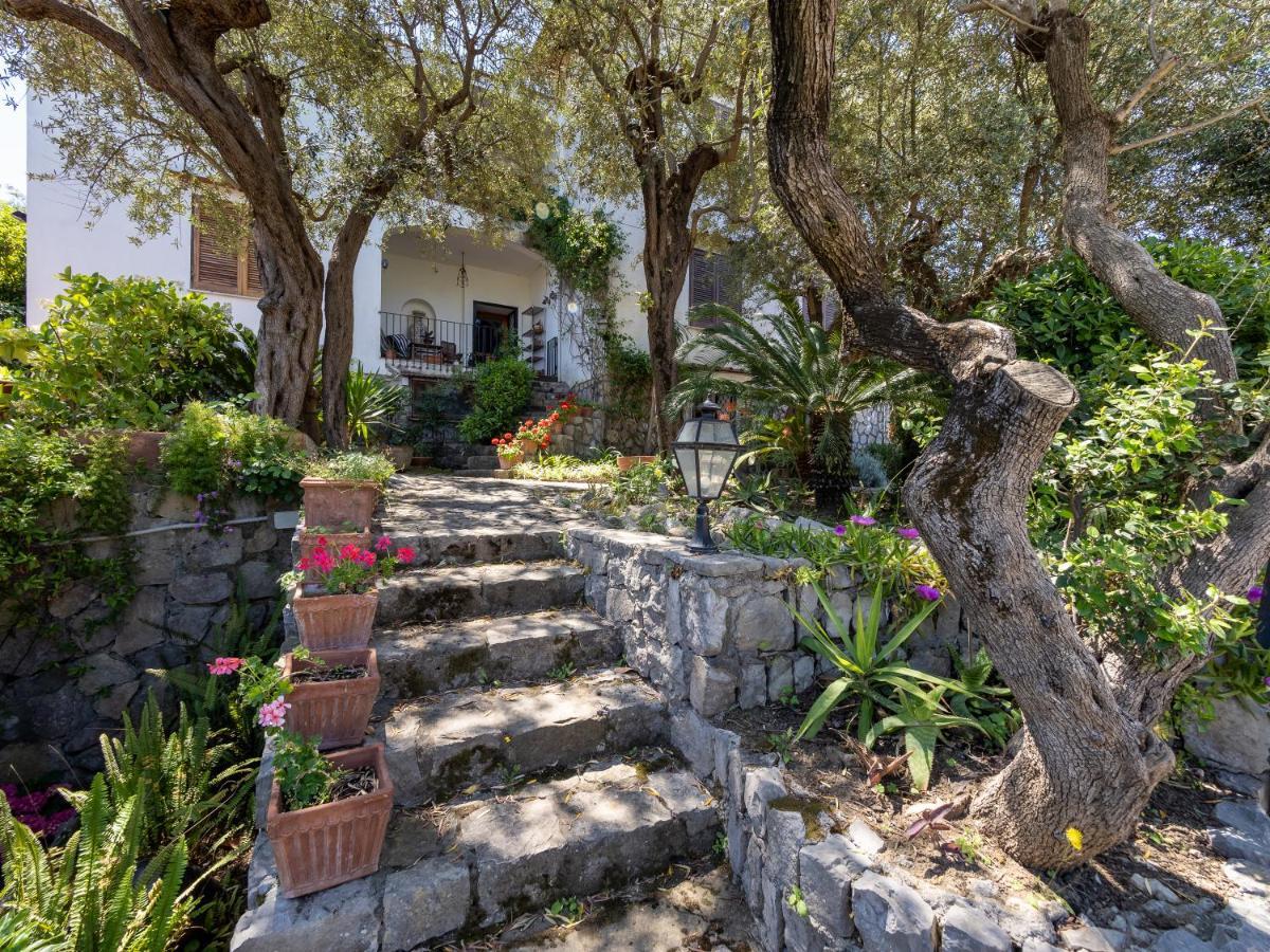 Ulivi Apt Villa Sorrento Exterior photo