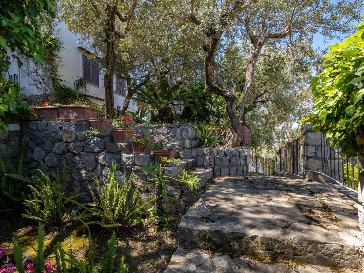Ulivi Apt Villa Sorrento Exterior photo